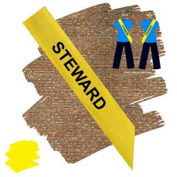 Stewards Yellow Polyester Sash.jpg