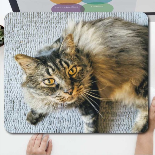 Personalised-Mouse-Mat-Cat.jpg