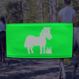 Reflective-Horse-Design-Kids-FloGreen-Armband.jpg