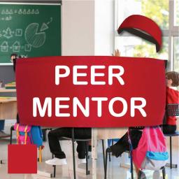 peer-mentor-red-armbands-for-kids.jpg