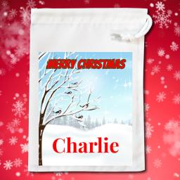 Personalised-Drawstring-Xmas-Gift-Bag.jpg