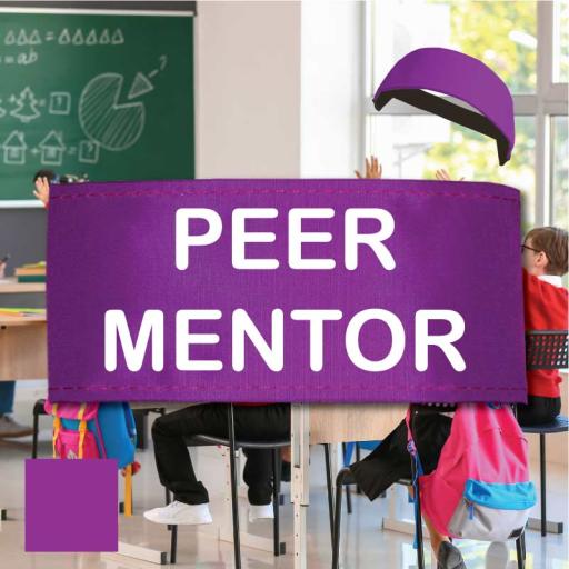 Peer Mentor ID Armbands for Children