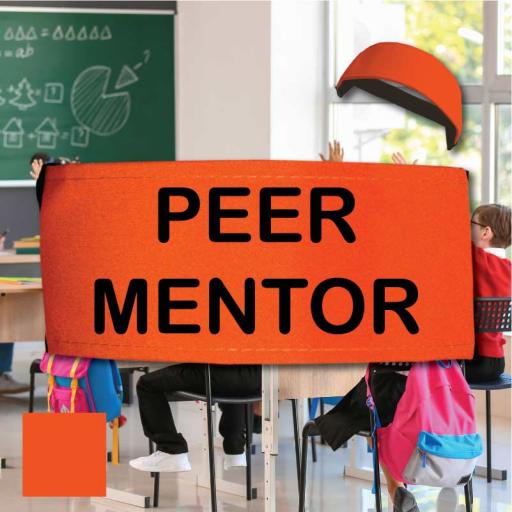 peer-mentor-flo-orange-armbands-for-kids.jpg