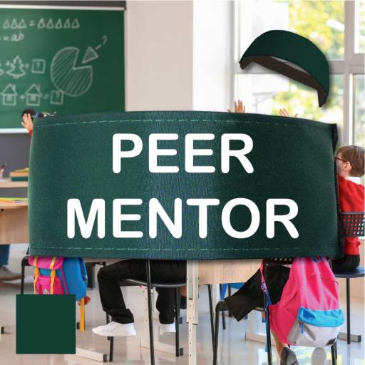 peer-mentor-bottle-green-armbands-for-kids.jpg